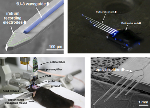 Neural-probe-for-optogenetics01